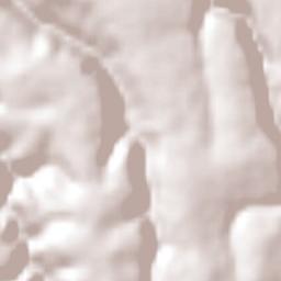 San Pedro Denxhi Centro Terrain Map