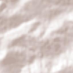 San Bartolo Ozocalpan Terrain Map