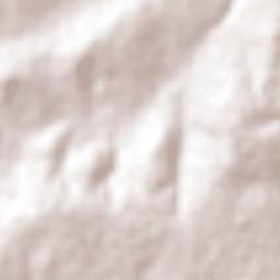 Pino Suárez Terrain Map