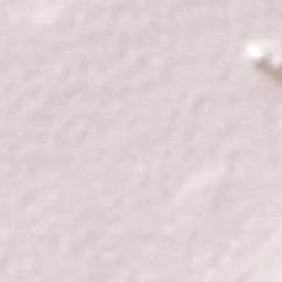 Colonia Morelos (El Nueve) Terrain Map