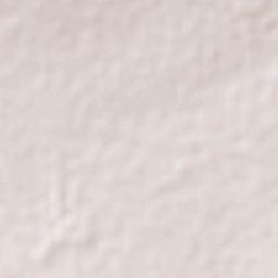 Tepatepec Terrain Map