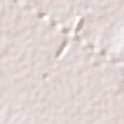 San Antonio Zaragoza Terrain Map