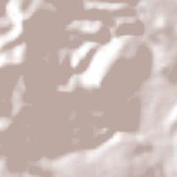 El Zapote de Chávez Terrain Map