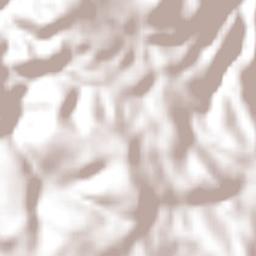 Brizuela Terrain Map