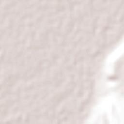 Guándaro Terrain Map