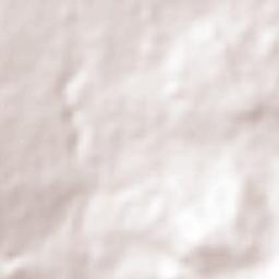 Salvatierra Terrain Map