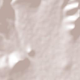 Tepetitlán Terrain Map