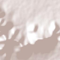 San Juan Tepa Terrain Map