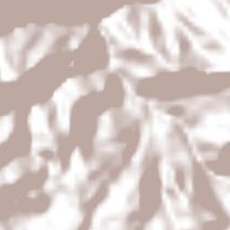 San Francisco Atotonilco Terrain Map