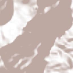 Xochinanacatlán Terrain Map