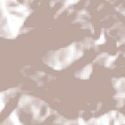 Mecatlán Terrain Map