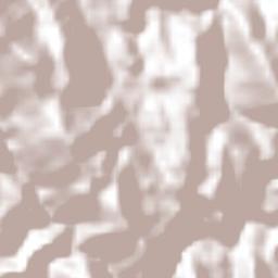 Rancho Alegre Terrain Map