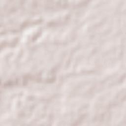 Puntilla Aldama Terrain Map