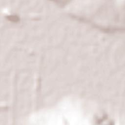 Ixtlán de los Hervores Terrain Map