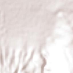 Ecuandureo Terrain Map