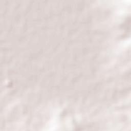 Villachuato Terrain Map