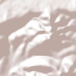 La Soledad Terrain Map