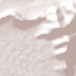 San Nicolás Tecomatlán Terrain Map