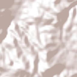 Omitlán de Juárez Terrain Map