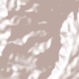 Tlacomulco Terrain Map