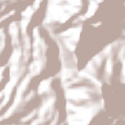 Xilocuautla Terrain Map