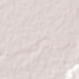 El Pital Terrain Map