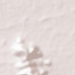 Balugaon Terrain Map