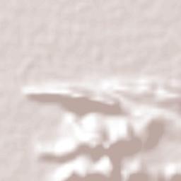 Venustiano Carranza Terrain Map