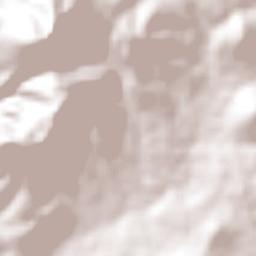 San Lorenzo Nenamicoyan Terrain Map