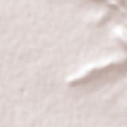 Teltipán de Juárez Terrain Map