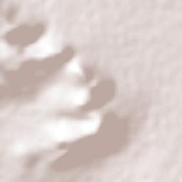 Tetepango Terrain Map