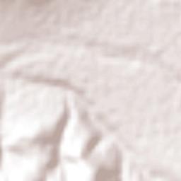 San Agustín Tlaxiaca Terrain Map