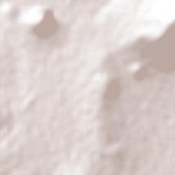 Santiago Tlapacoya Terrain Map