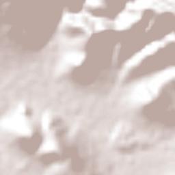 Guadalupe Minerva Terrain Map