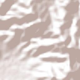 Privada del Álamo Terrain Map