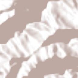 Bienvenido Terrain Map