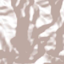 Huehuetla Terrain Map