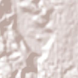 Buena Vista Terrain Map