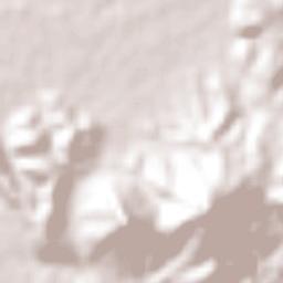 La Isla de Chapachapa Terrain Map