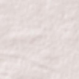 Chandrapur Terrain Map