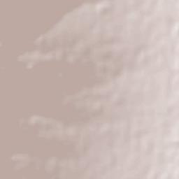 Techaluta de Montenegro Terrain Map