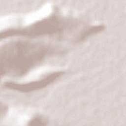 Sahuayo de Morelos Terrain Map