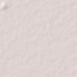 Fraccionamiento San Miguel Terrain Map