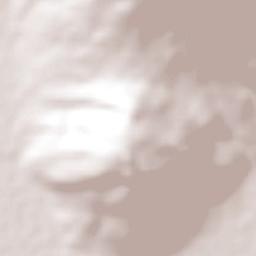 La Sauceda Terrain Map