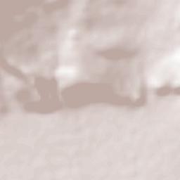 El Sauz de Abajo Terrain Map