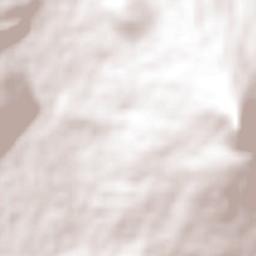 San Miguel Epejan Terrain Map