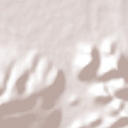 Puruándiro Terrain Map