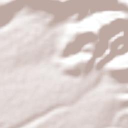 Puroagua Terrain Map