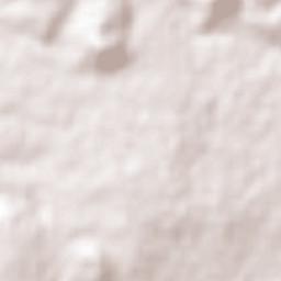 San Martín Ejido Terrain Map