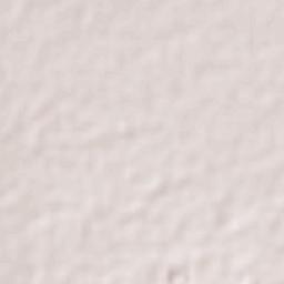 Teocalco Terrain Map